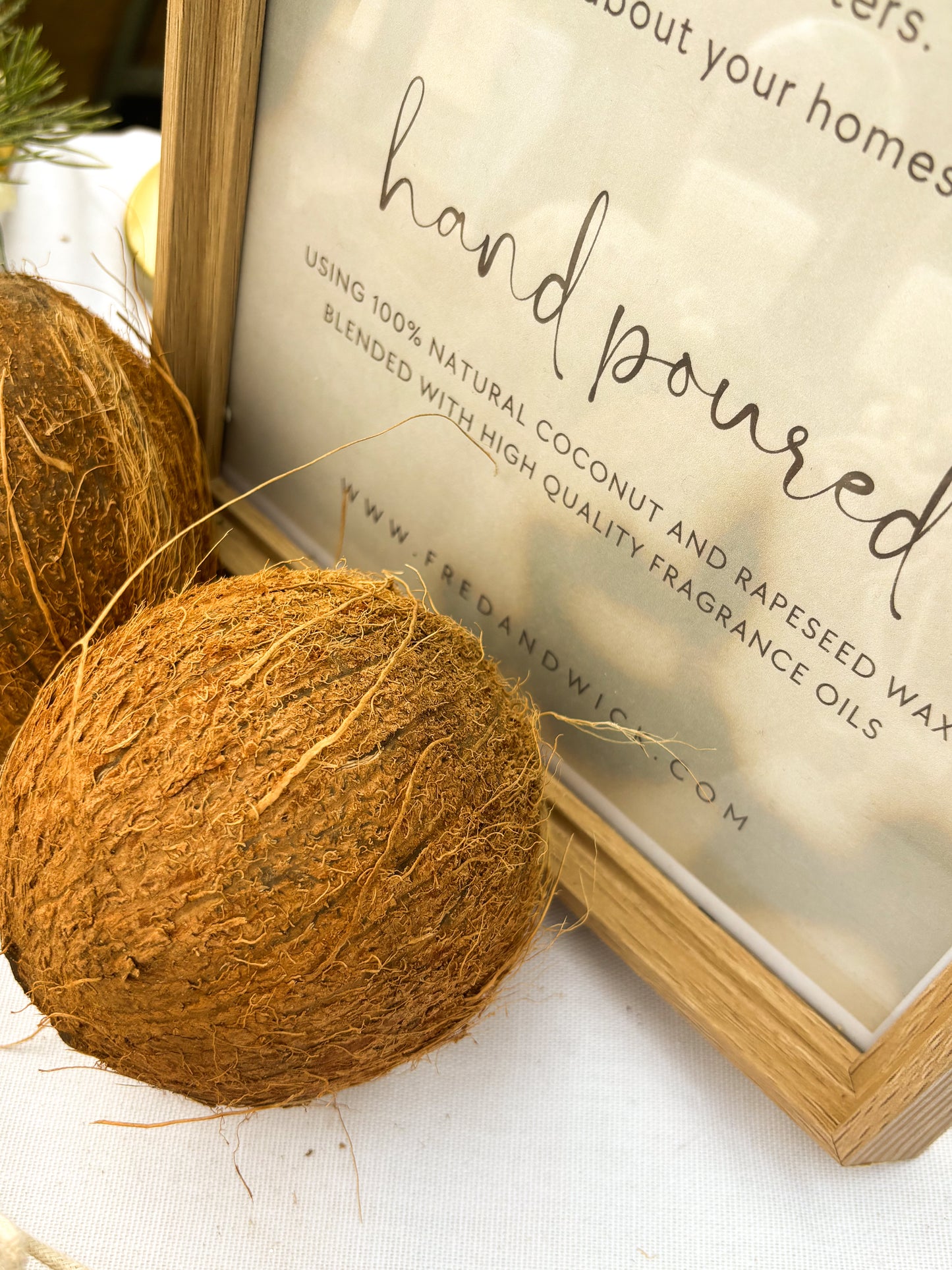 BLACK PLUM & RHUBARB CANDLE